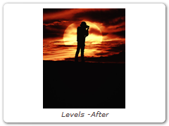 Levels -After