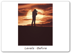 Levels -Before