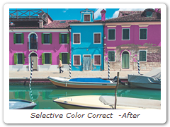 Selective Color Correct  -After