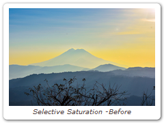 Selective Saturation -Before