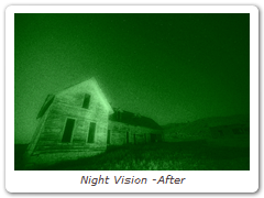 Night Vision -After