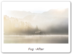 Fog -After