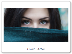 Frost -After