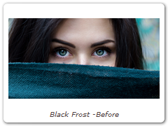 Black Frost -Before