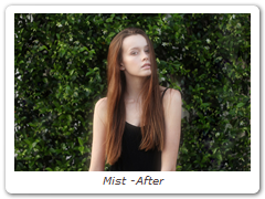 Mist -After