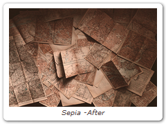 Sepia -After