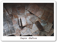 Sepia -Before