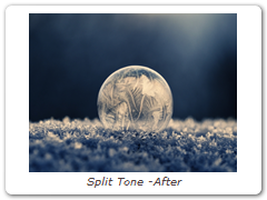 Split Tone -After