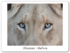 Sharpen -Before