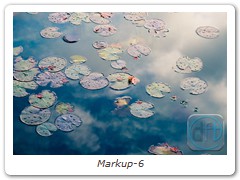 Markup-6